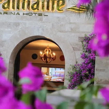 Marina Garden Hotel 4*